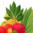 Fresh, vibrant fruits and vegetables artfully arranged, symbolizing nutrition.